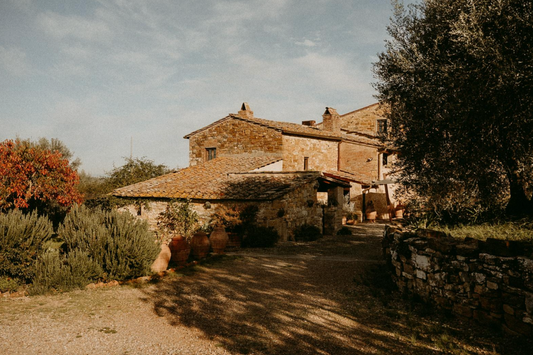 Sustainable Spring Decoration with GREYMINT