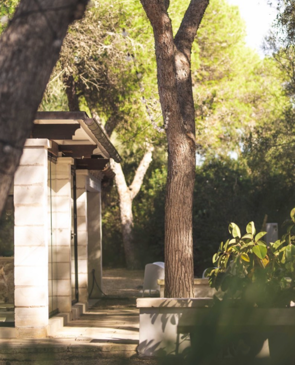 GREYMINT Day Retreat June 2025