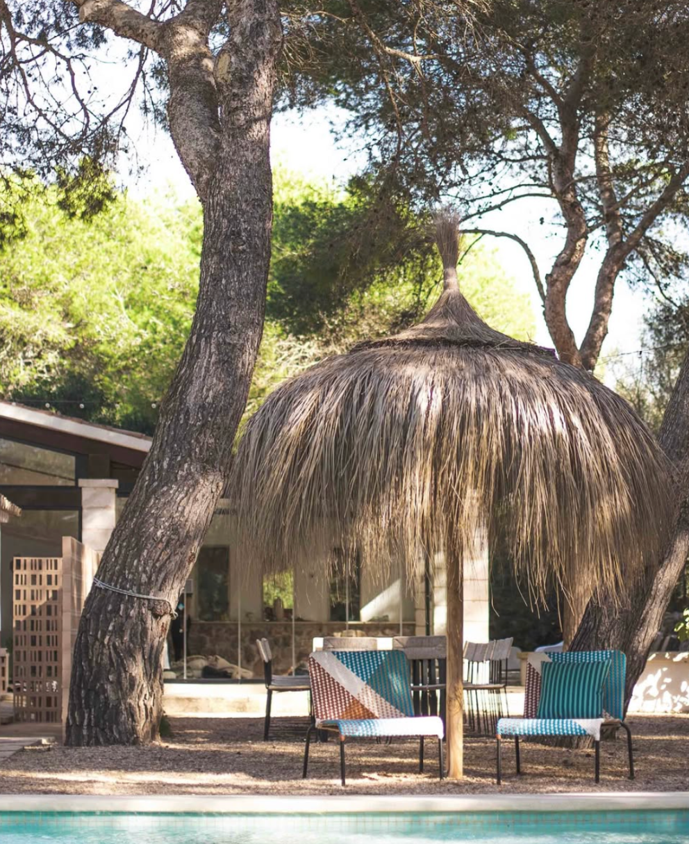 GREYMINT Day Retreat June 2025