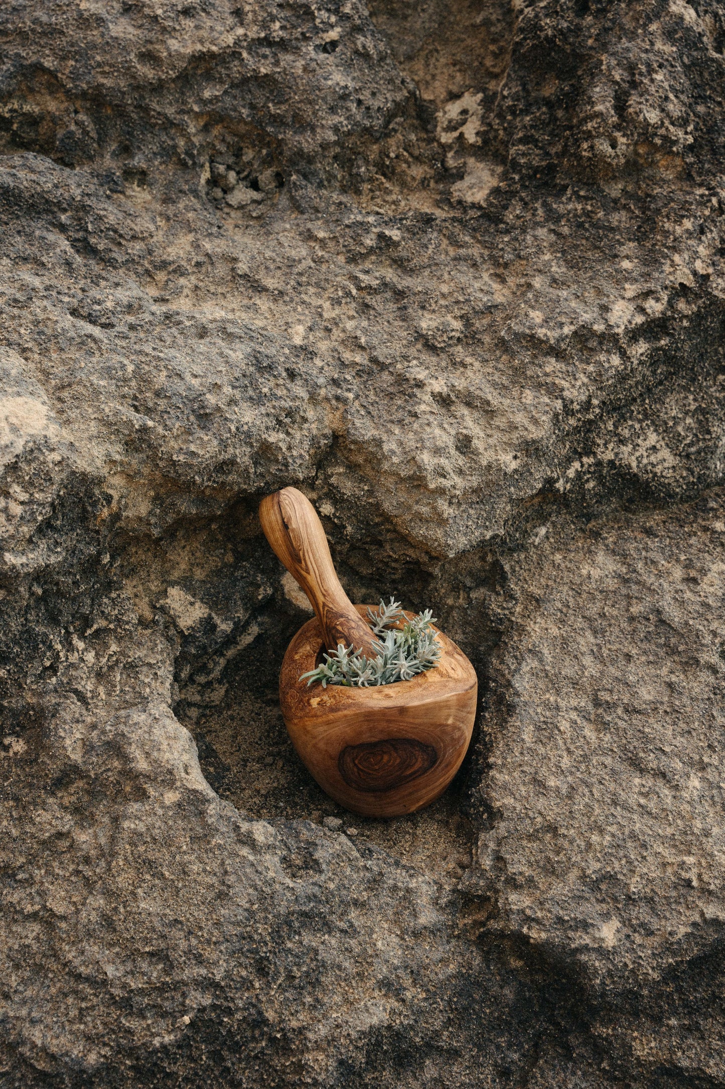YAYA Olive Wood Pestle & Mortar