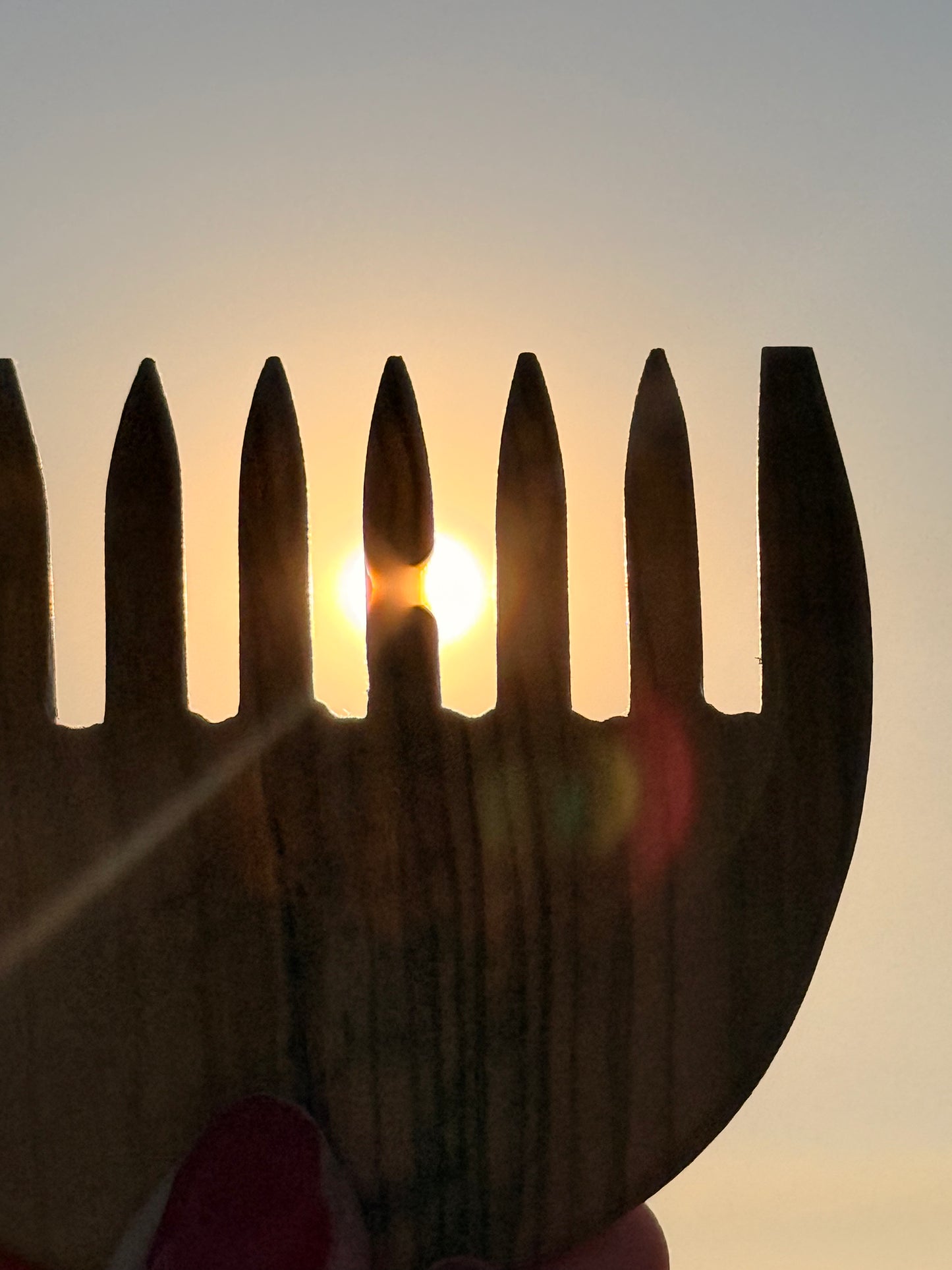Olive Wood Wide-Tooth Comb