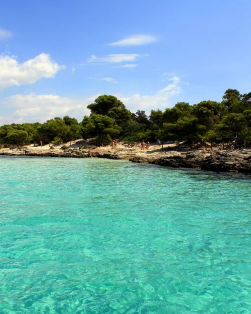 GREYMINT Retreat May 2026