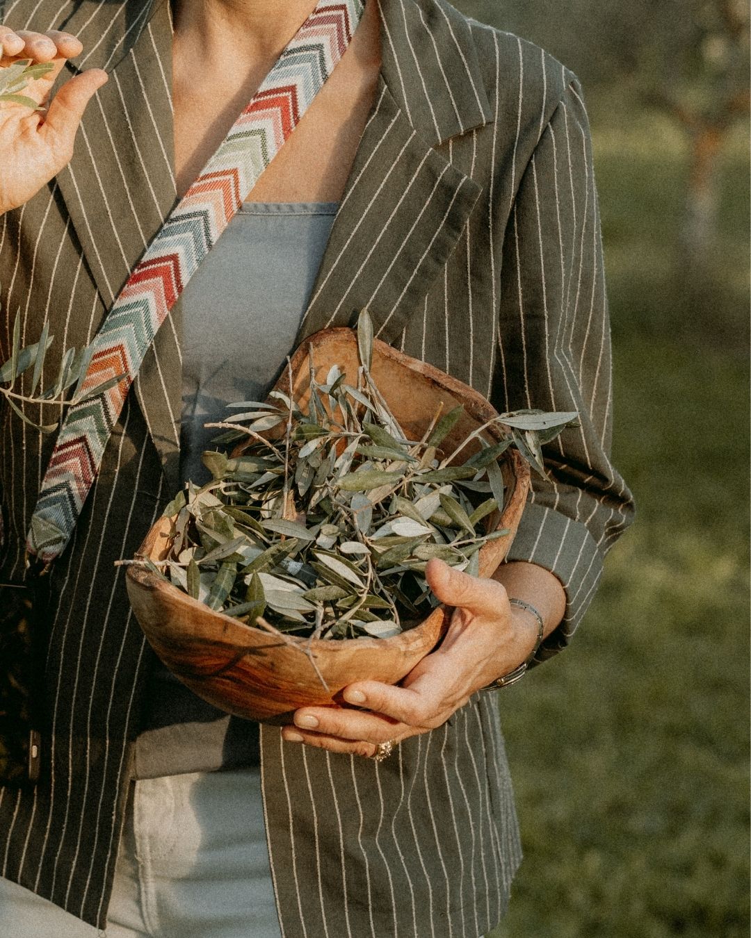 YAYA Olive Wood Big Wonky Bowl