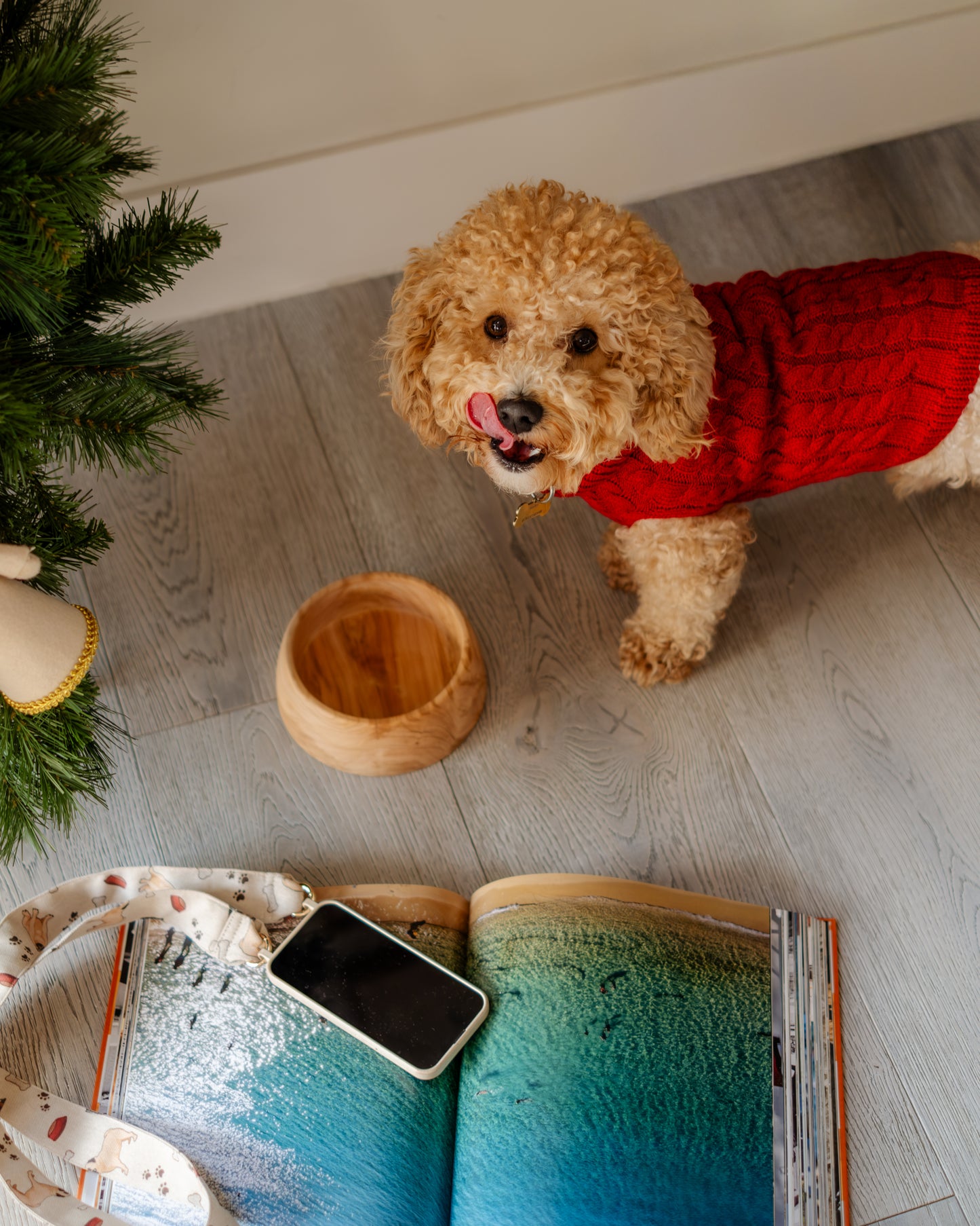 Olive Wood Pet Bowl — Small
