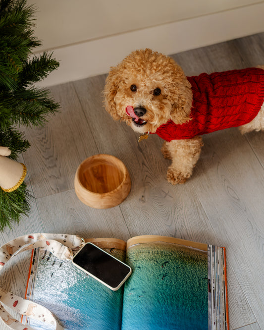Olive Wood Pet Bowl — Small