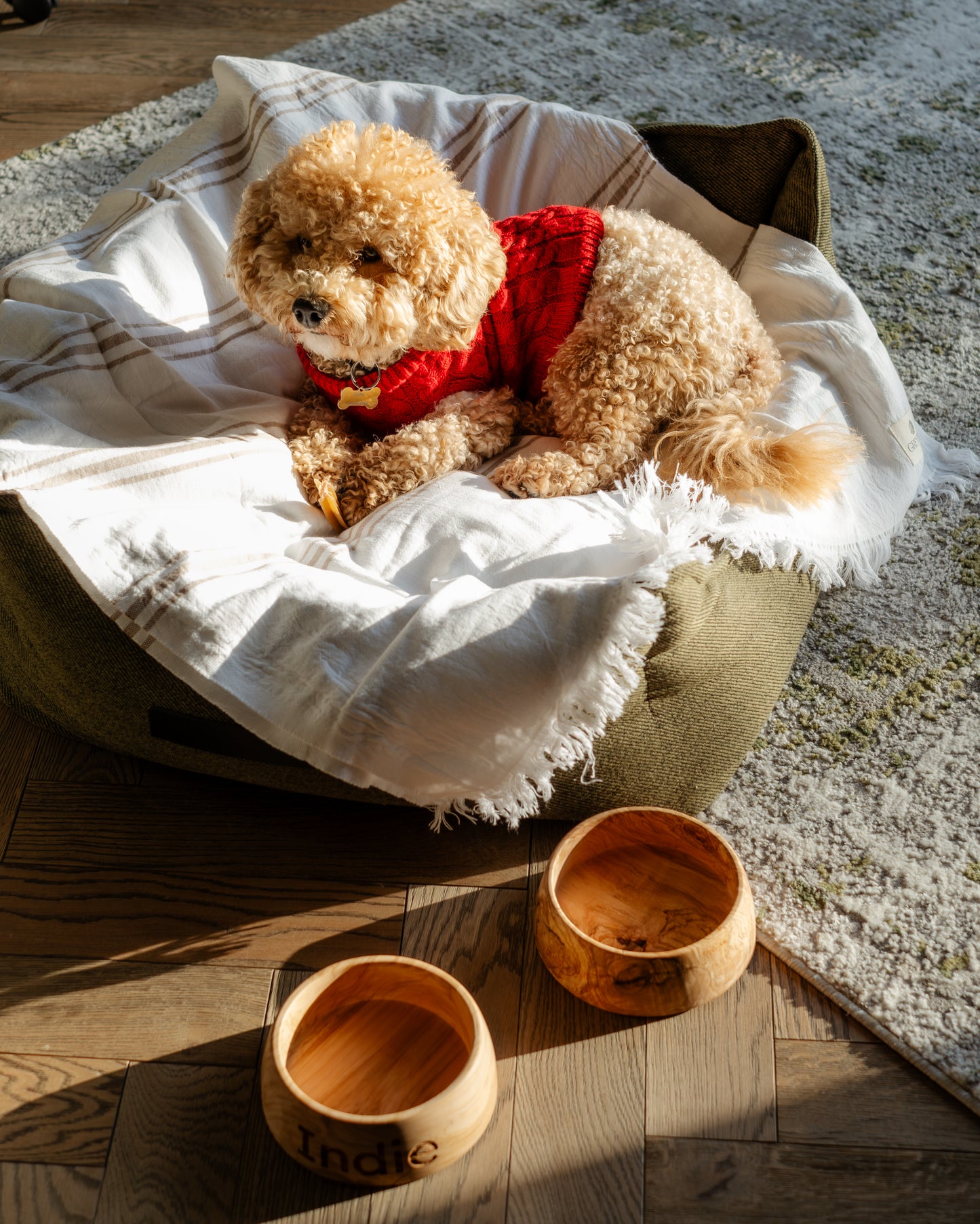 Olive Wood Pet Bowl — Large