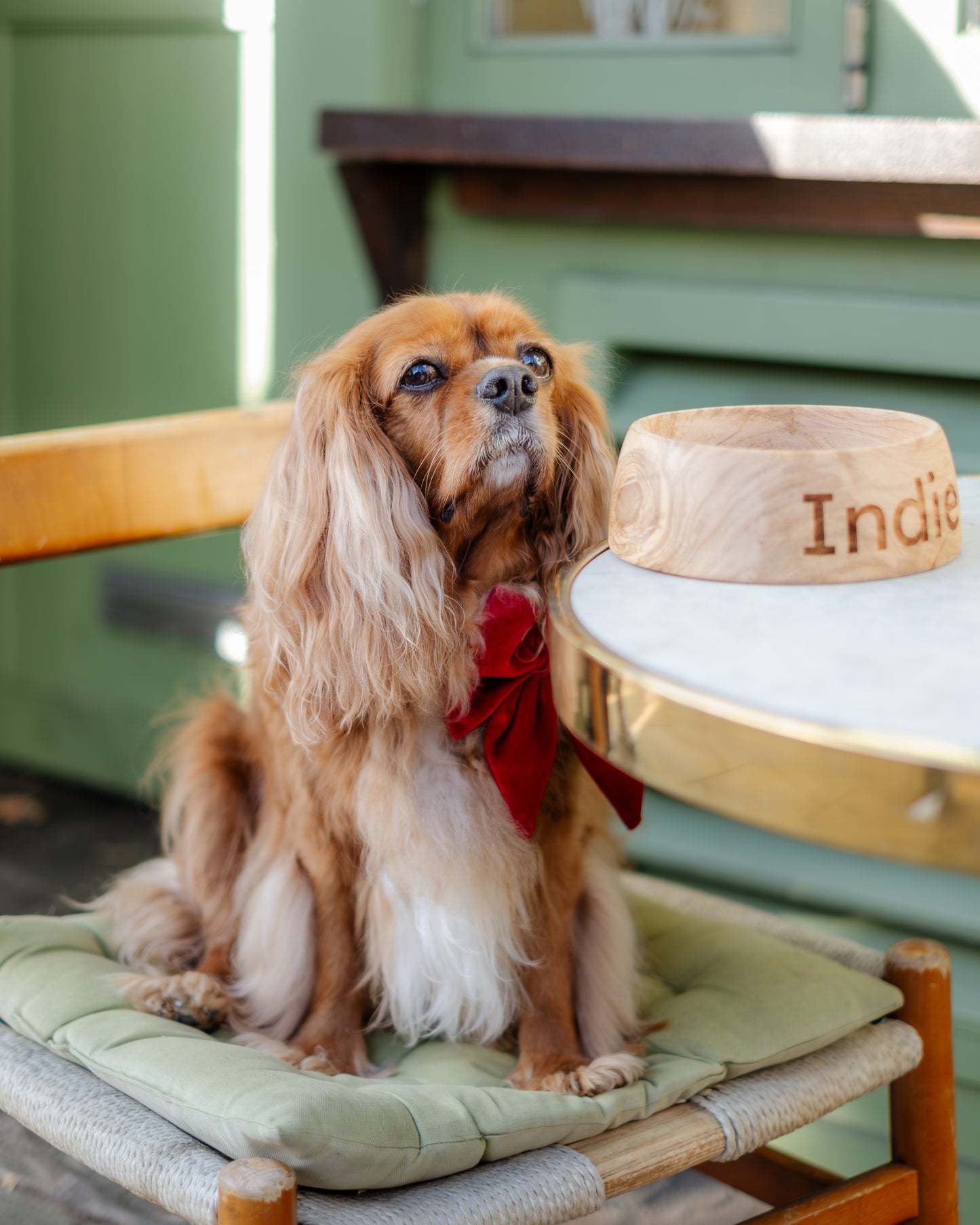 Olive Wood Pet Bowl — Large